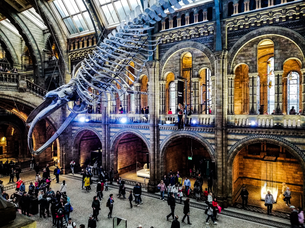 Natural History Museum London